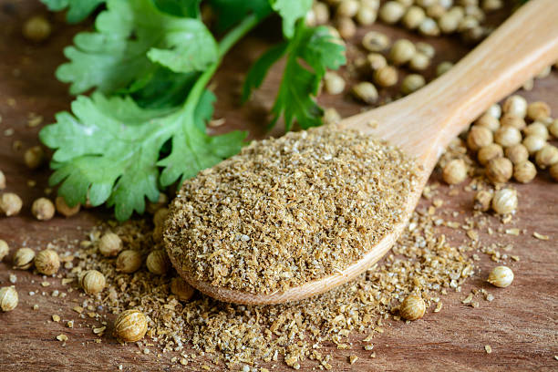 Home coriander powder, aromatic ingredients and condiment on rustic wooden table